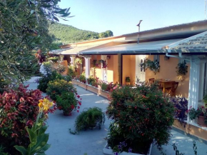 Отель Olive Grove Studios  Мораитика